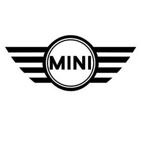 Гумени стелки за багажник за Mini