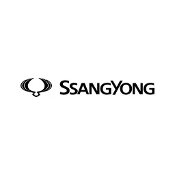 Гумени стелки за багажник за Ssang Yong